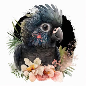 Puede incluir: Una cacat&uacute;a negra con plumaje gris oscuro y una cresta prominente, con sutiles acentos rojos y amarillos en las plumas de las mejillas. El ave est&aacute; rodeada de flores de tonos suaves en rosa claro y crema y follaje verde sobre un c&iacute;rculo negro.