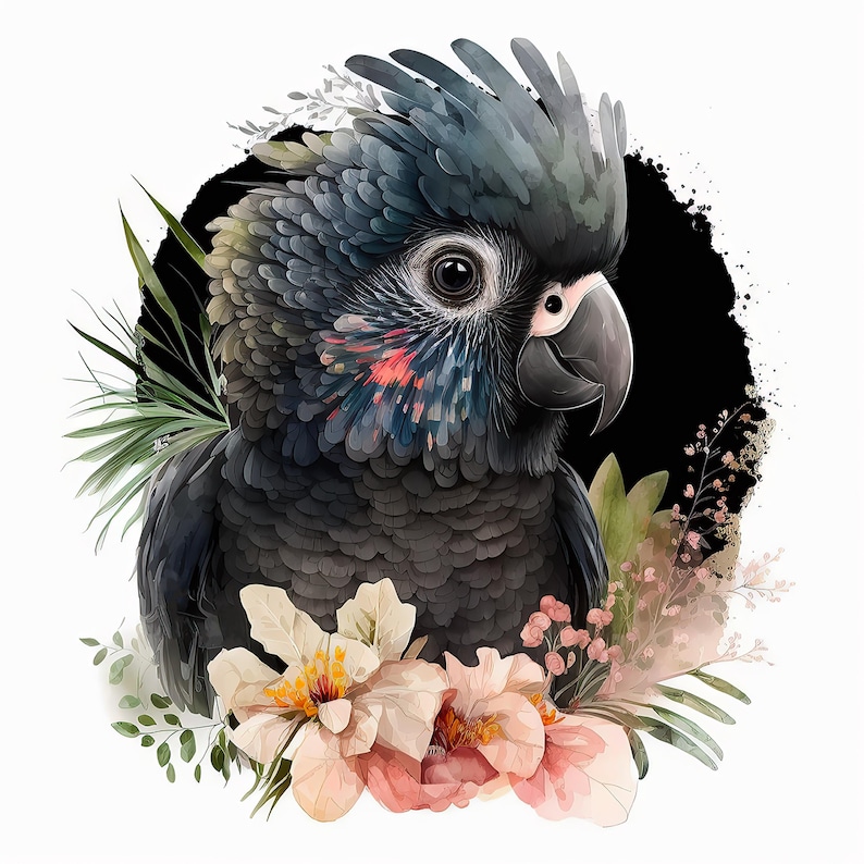 Puede incluir: Una cacat&uacute;a negra con plumaje gris oscuro y una cresta prominente, con sutiles acentos rojos y amarillos en las plumas de las mejillas. El ave est&aacute; rodeada de flores de tonos suaves en rosa claro y crema y follaje verde sobre un c&iacute;rculo negro.