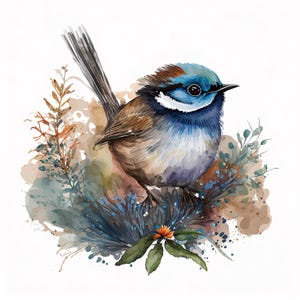 Puede incluir: Una ilustraci&oacute;n en acuarela de un p&aacute;jaro peque&ntilde;o con cabeza azul, alas marrones y una cola larga, posado entre follaje estilizado en tonos azules, marrones y verdes. El p&aacute;jaro presenta una mancha blanca en la garganta y un pico oscuro.