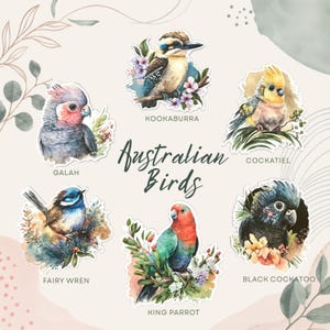Puede incluir: Una colecci&oacute;n de seis pegatinas de estilo acuarela con aves australianas etiquetadas como Galah, Kookaburra, Cockatiel, Fairy Wren, King Parrot y Black Cockatoo, dispuestas alrededor del texto central Australian Birds en letra cursiva.