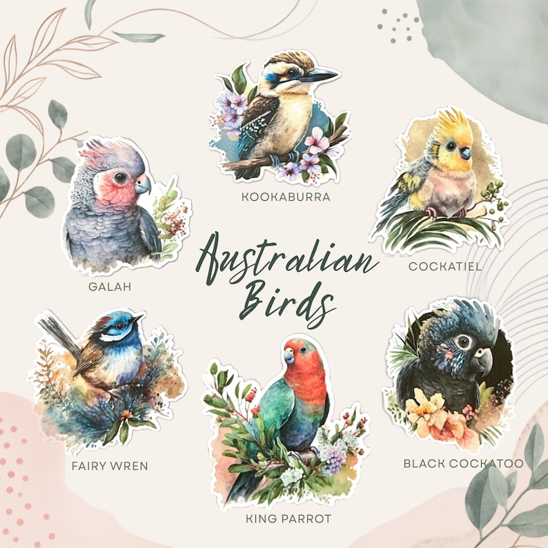 Puede incluir: Una colecci&oacute;n de seis pegatinas de estilo acuarela con aves australianas etiquetadas como Galah, Kookaburra, Cockatiel, Fairy Wren, King Parrot y Black Cockatoo, dispuestas alrededor del texto central Australian Birds en letra cursiva.