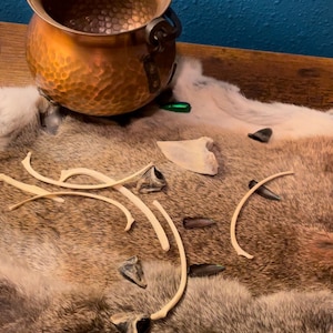 May include: A hammered copper cauldron with a handle rests on a fur pelt. Animal bones, claws, and small green and brown objects are scattered around, creating a rustic, naturalistic display.