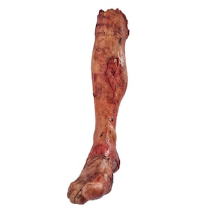 HORROR PROP film de jambe masculine blessée, détails de haute qualité, sang zombie mort, jambe masculine zombie grandeur nature pour Halloween