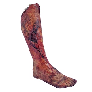 HORROR PROP film de jambe féminine blessée, détails de haute qualité, sang zombie mort, jambe féminine zombie grandeur nature pour Halloween