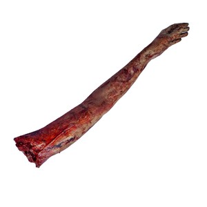 Accessoires d'horreur film de haute qualité avec un bras de femme blessée, zombies morts dans le sang, bras de femme zombie grandeur nature pour Halloween