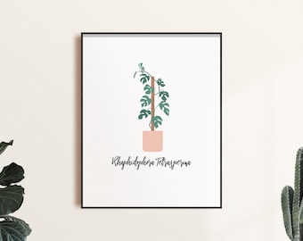 Rhaphidophora Tetrasperma Minimalistic Plant Illustration Art Print Decor | Botanical Wall Art | Houseplant Art
