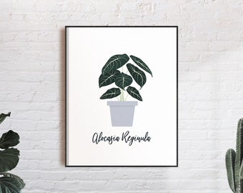 Alocasia Reginula Black Velvet Plant Minimalistic Print Illustration Decor | Botanical Wall Art | Houseplant Art | Poster
