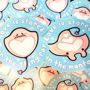 Love Is Stored In The Sting Ray / Manta Ray Sticker | Cute 3 Inch Sea Creature Die Cut Matte Stickers