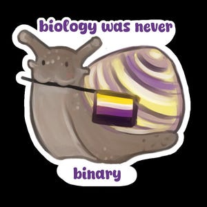 Puede incluir: Una pegatina con un caracol de dibujos animados con una concha en tonos morados y amarillos. El caracol lleva una bandera del orgullo no binario y el texto "biology was never binary" en morado.