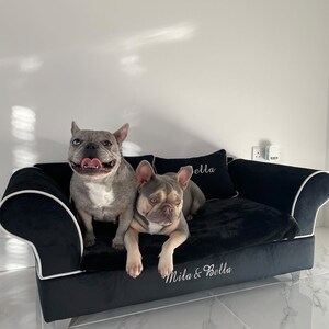 Dog hot sale couch ireland
