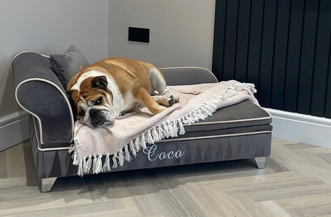 Personalised Dog Chaise Lounge Etsy