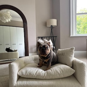 May include: A cream-coloured dog bed with gold legs and a matching pillow. A French Bulldog with a blue and brown coat sits on the bed. The pillow has the name "Tanki" embroidered on it.
