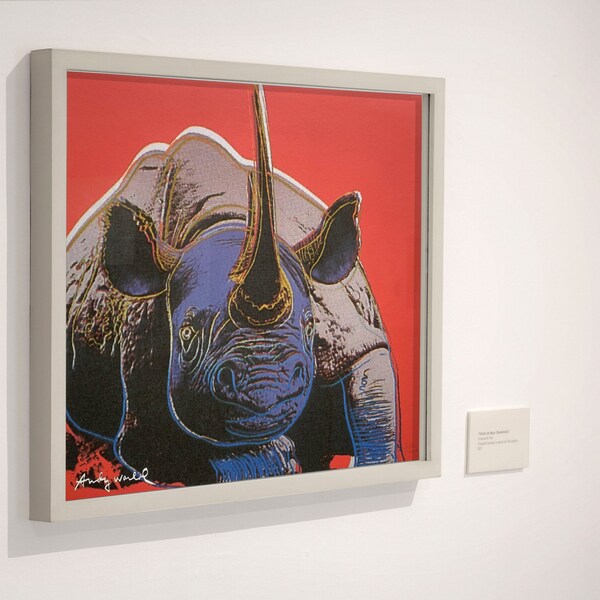 Andy Warhol, Black Rhino, Endangered Animals Series, Poster, Print, Artwork, Canvas, Red