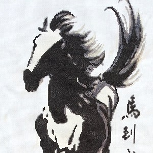 Handmade Completed Finished Cross Stitch Horse