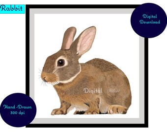 Hand drawn rabbit digital art print. Woodland digital download wall art.