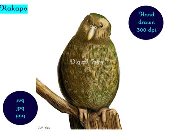 Pintura digital dibujada a mano del nativo y en peligro de extinción NZ Kakapo. Impresión de arte digital, arte mural descargable, arte Kiwiana