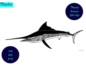 Marlin dibujado a mano (pez espada), que se encuentra en aguas de Nueva Zelanda. Descarga digital - svg, png, jpg, clipart