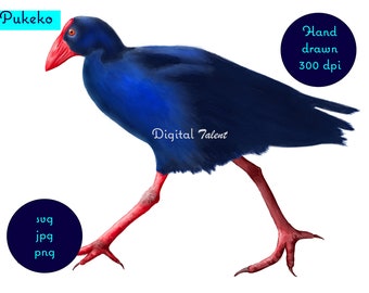 Pintura digital dibujada a mano del ave nativa de Nueva Zelanda, el Pukeko. Impresión de arte digital, arte mural descargable, arte Kiwiana