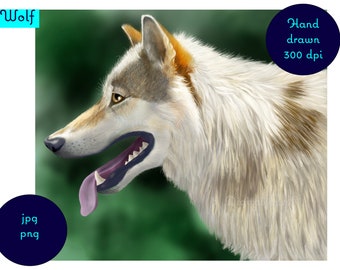Pintura digital realista dibujada a mano de un lobo. Arte mural digital. Impresión digital. Imagen digital Wolf