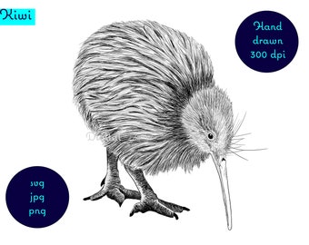 Imagen dibujada a mano del kiwi nativo de Nueva Zelanda. svg.png.jpg. Descarga digital. clipart. diseño