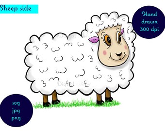 Lindo clipart de oveja dibujado a mano. svg, png, jpg
