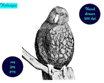 Imagen dibujada a mano del nativo de Nueva Zelanda Kakapo. svg, png, jpg. Descarga digital, clipart, diseño