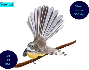 Pintura digital dibujada a mano del nativo de Nueva Zelanda Fantail. Impresión de arte digital, arte mural descargable, arte kiwiana