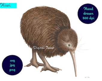 Pintura digital dibujada a mano del kiwi nativo de Nueva Zelanda. Impresión digital de arte mural. Clipart de kiwi. Arte kiwiana