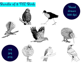 Paquete de 8 imágenes dibujadas a mano de aves nativas de Nueva Zelanda. svg, png, jpg, descarga digital, clip art, diseño