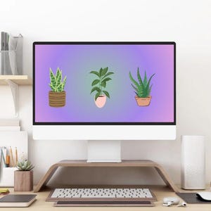 Puede incluir: Un monitor de computadora con un fondo degradado de color púrpura claro y azul. El monitor muestra tres plantas en maceta, una planta serpiente, una suculenta y una planta de hojas. El monitor está en un soporte de madera con un teclado y un ratón delante.