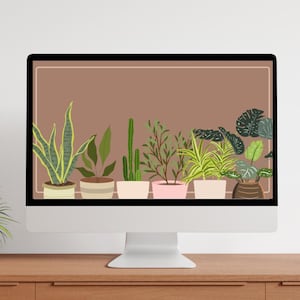 Potted Plant Desktop/Laptop Wallpaper