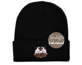 Appa Hat - Etsy