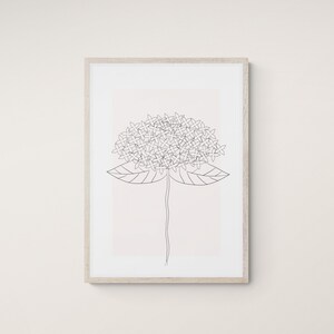 Op de afbeelding: Een zwart-witte lijntekening van een bloem met een grote tros bloemblaadjes en twee bladeren. De bloem is in een eenvoudige, minimalistische stijl.