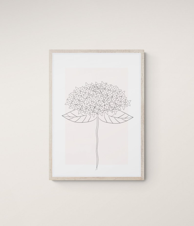 Op de afbeelding: Een zwart-witte lijntekening van een bloem met een grote tros bloemblaadjes en twee bladeren. De bloem is in een eenvoudige, minimalistische stijl.
