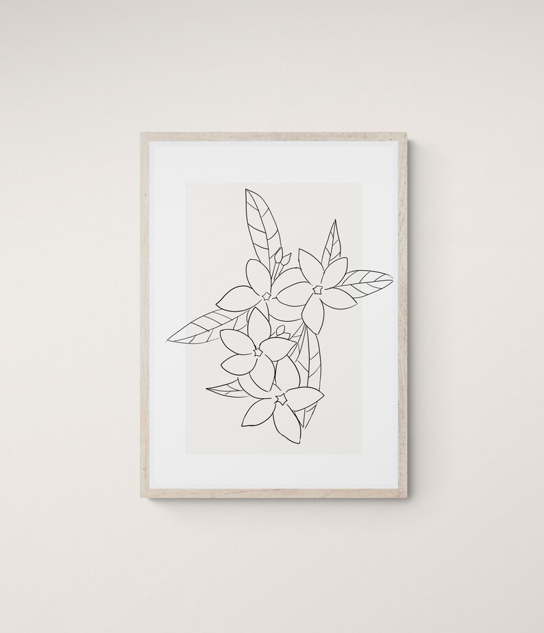 Op de afbeelding: Een zwart-witte lijntekening van een tros bloemen met bladeren in een eenvoudige, minimalistische stijl.