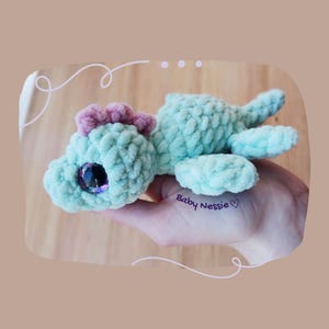 May include: A crocheted teal-colored plush toy shaped like a mythical creature, with a pink crest and large, sparkly eyes. The text "Baby Nessie" is written on the image.