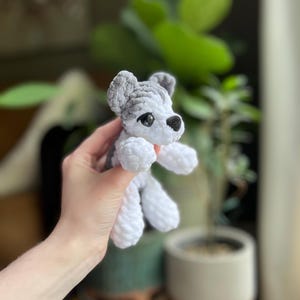 May include: A handmade crochet dog toy in white and gray. The dog has black eyes and a black nose. The toy is held in a person's hand. The background is blurred, with green plants and a neutral-colored pot.