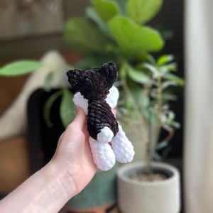 May include: A handmade crochet dog toy in black and white. The dog has a black head and body with white legs and feet. The toy is held in a person's hand, with a blurred background of plants.