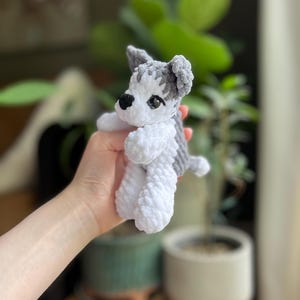 May include: A small, handmade crochet dog toy in shades of white and gray. The plush toy features a detailed head with black eyes and a small black nose. The dog's body is white, and the ears and a patch on the back are gray.