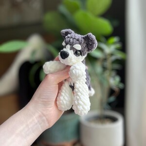 May include: A handmade crochet dog toy in gray and white. The dog has a black nose and eyes, and white paws. The toy is held in a person's hand, with a blurred background of plants and a pot.
