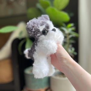 May include: A small, plush Schnauzer dog toy in shades of gray and white. The toy has a fluffy texture, black eyes, and a small black nose. The dog is held in front of a blurred background of green plants and ceramic pots.