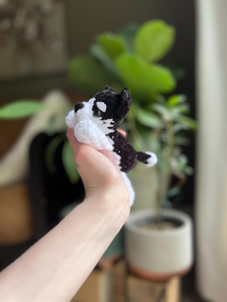 May include: A handmade crochet dog in black and white. The small stuffed animal has a black head and back with white accents on the face, chest, and paws. The dog is lying down, with its paws tucked in. The background is blurred, with green plants visible.