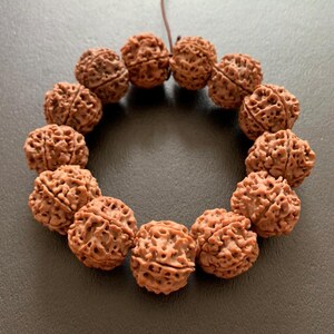 Nepal 6 Seis Pétalas Diamante Bodhi Zi Mão Corda Disco Voador Pilha Cheia Almôndega Semente Buda Contas Masculino e Feminino 22 mm