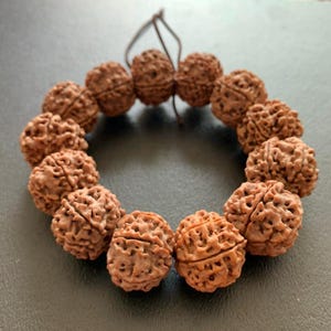Nepal 6 Seis Pétalas Vajrayana Bodhi Zi Mão Corda Disco Voador Pilha Cheia Almôndega Semente Buda Contas Masculino e Feminino 23 mm