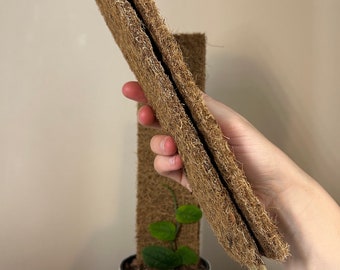 Lot de 2 perches extensibles en fibre de coco pour plantes grimpantes, treillis + rallonge, support de plante raccordable