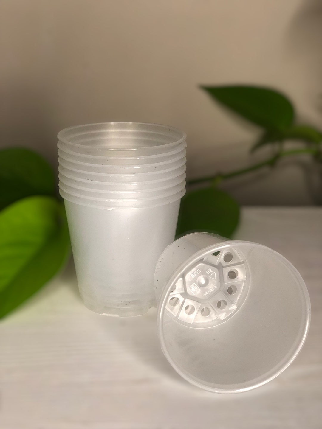 6cm Clear MINI Plastic Plant Pots, Transparent Nursery Pots, Pots for