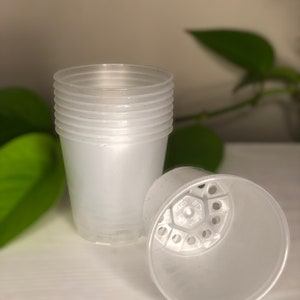6cm clear MINI plastic plant pots, Transparent nursery pots, pots for seedlings, propagation etc.