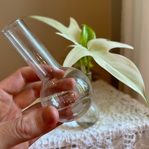 Cute glass flasks - a SET of 3, laboratory glass, 50ml, propagation station, vase