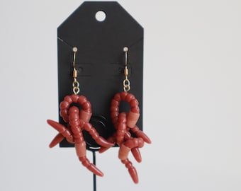 Handmade Polymer Clay Worm Earrings: Hypoallergenic  Findings