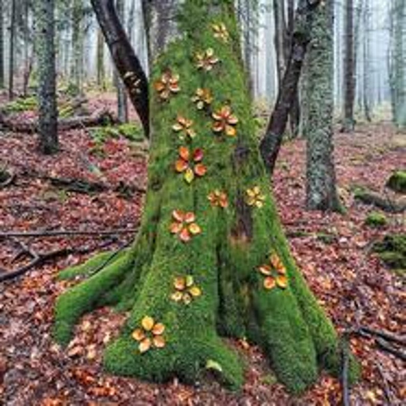 May include: A moss-covered tree trunk with exposed roots, adorned with several orange and yellow flower-shaped decorations. The tree stands in a forest with fallen leaves and other trees in the background.